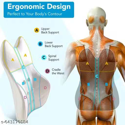 Memory Foam Car Backrest Cushion-Ergonomic design illustration with anatomical labels on a clear background
